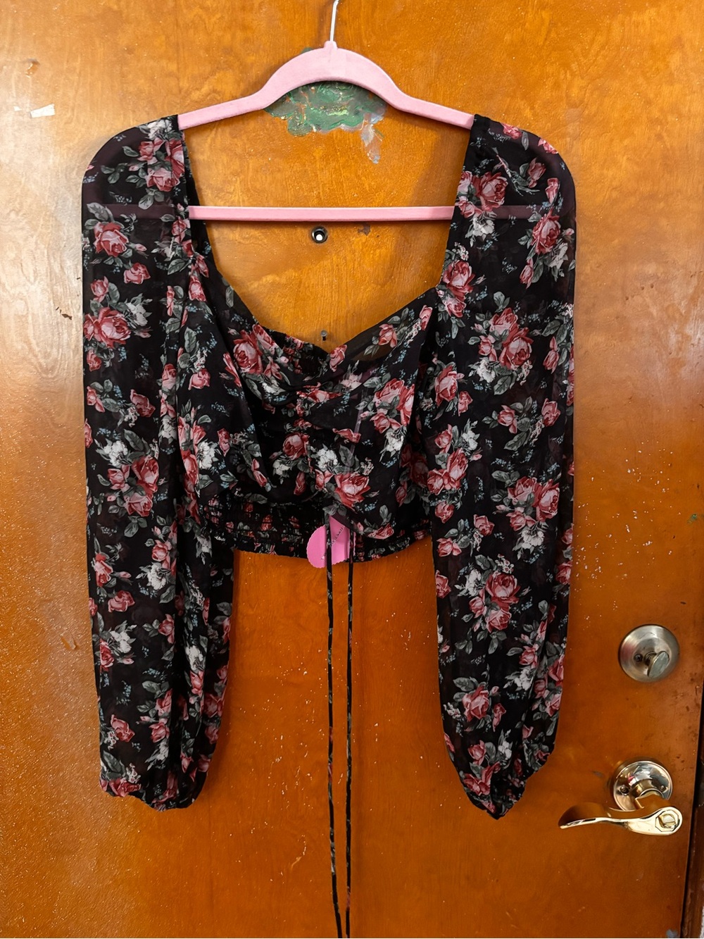 Dolls Kill sheer crop top.  Long sleeve.